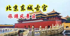 免费操b在线bb中国北京-东城古宫旅游风景区
